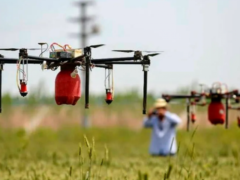 Aerofumigadores piden controlar dones ante tragedias inminentes