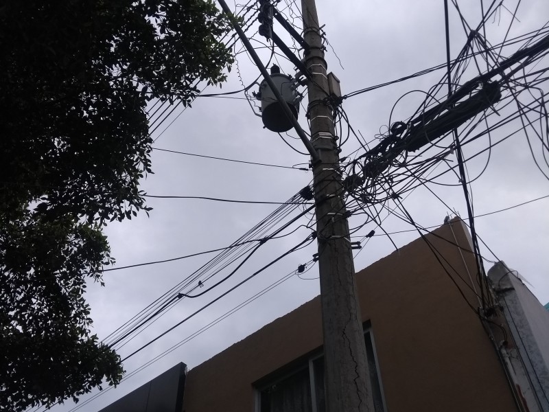 Afecta árbol a vecinos de Valle del Campestre