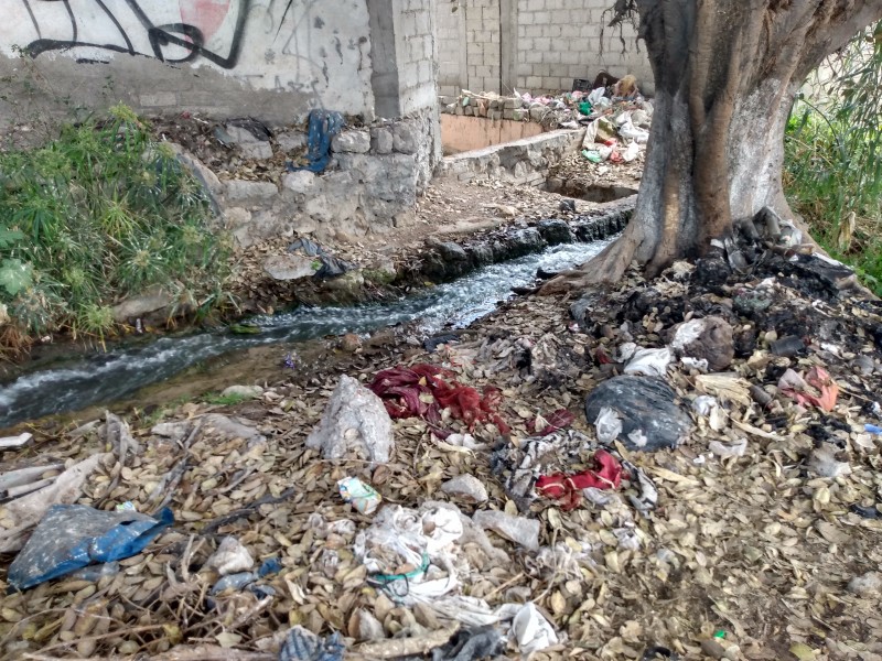 Afecta basurero a canal de agua de riego