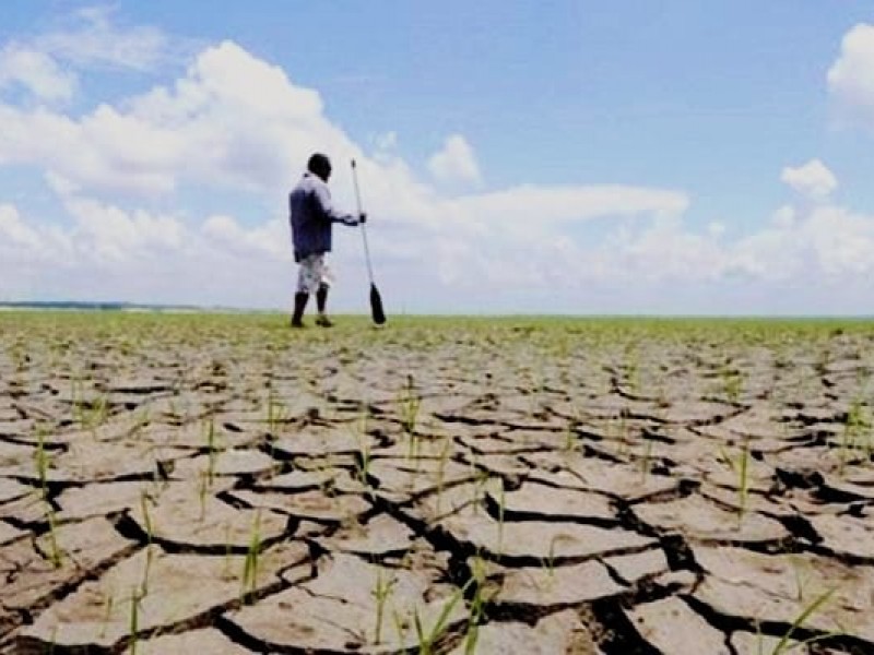 Afecta sequía 70 por ciento del territorio veracruzano