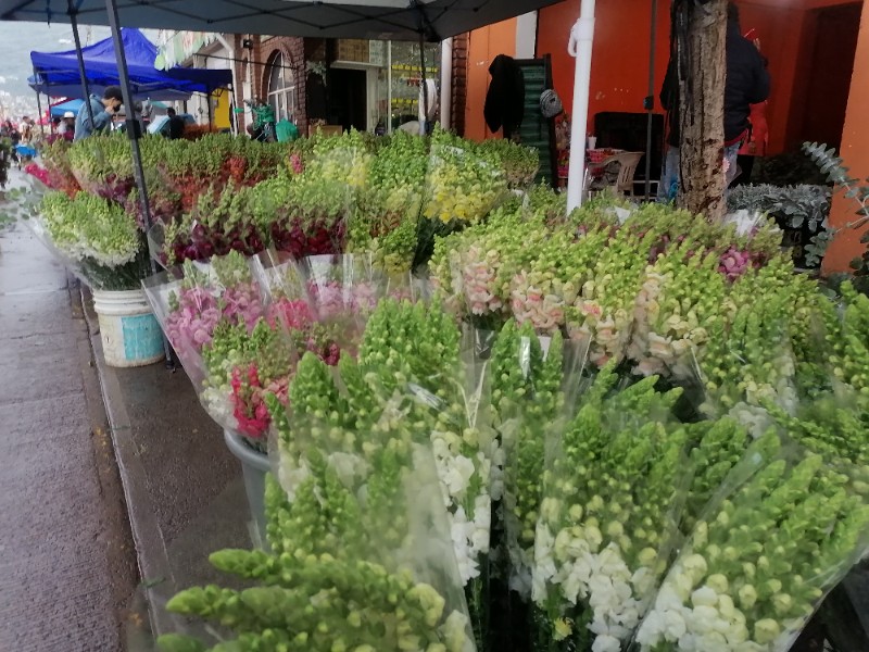 Afecta temporada de lluvias a la flor de corte