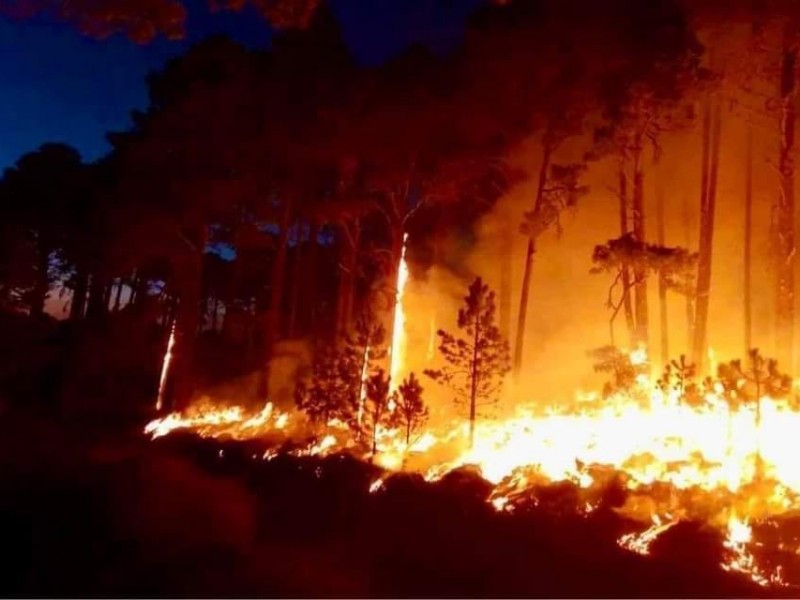 Afectación por incendios supera las 2 mil hectáreas en Veracruz