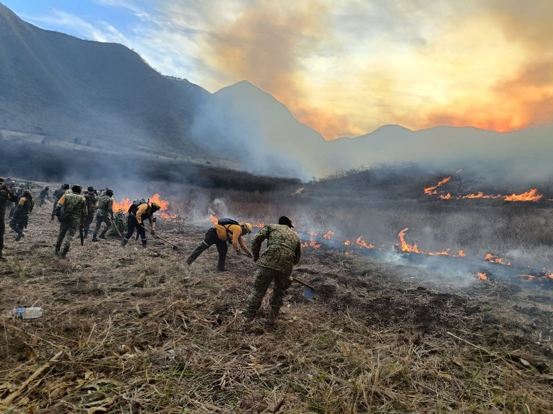 Afectación por incendios supera las 600 hectáreas