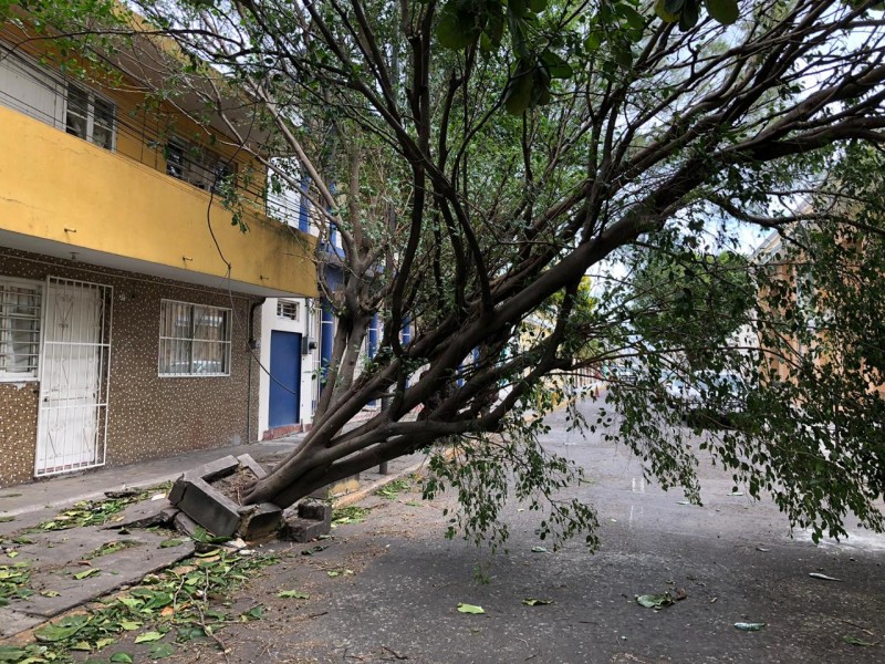 Afectaciones en 21 municipios por Frente Frío