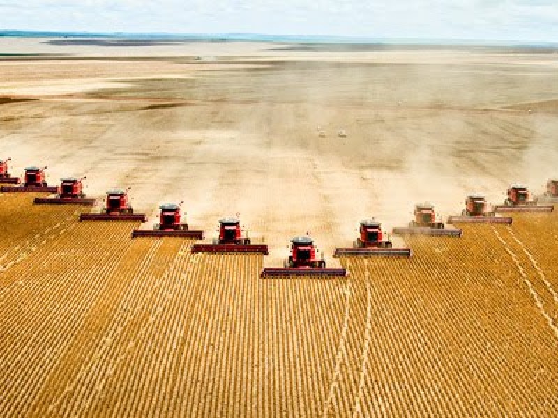 Afectaciones para Sonora por falta de derrama económica de Agricultores