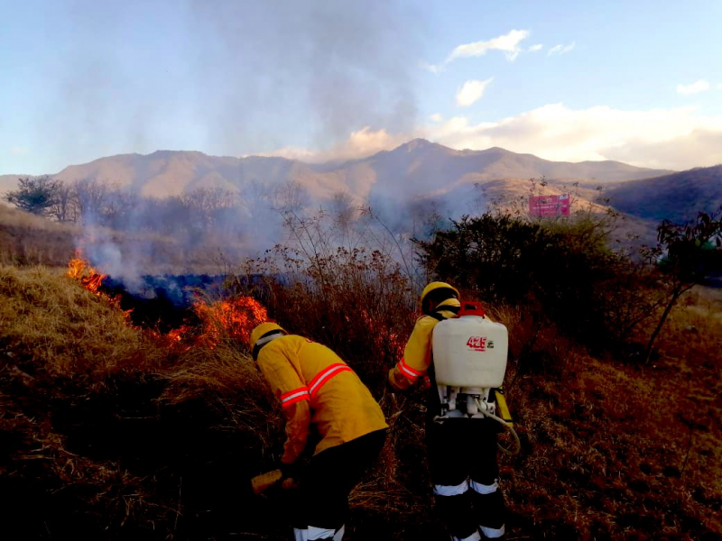 Afectaciones por incendios forestales incrementan 300% en Oaxaca durante 2021