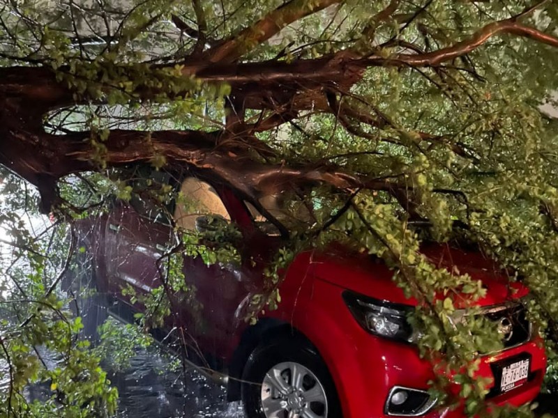 Afectaciones por lluvias y fuertes vientos en Ciudad Obregón