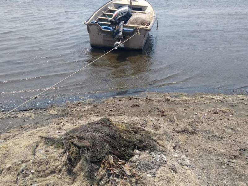 Afectaciones por sargazo en playa Vicente Juchitán