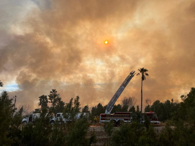 Afectada fauna endémica tras incendio en Estero de SJC