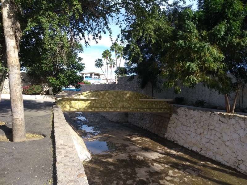 Afectada vida en oasis por afluente de cuenca