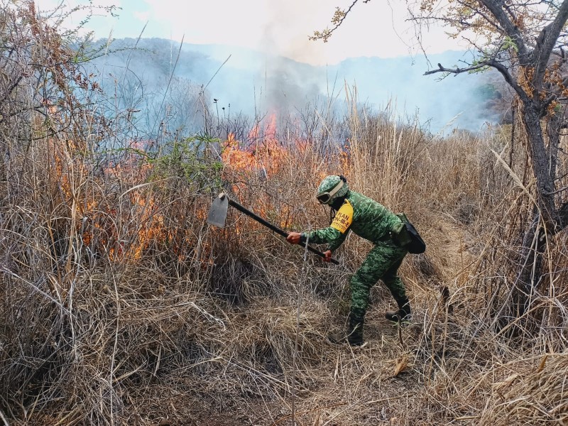 Afectadas, 20 hectáreas en incendio del Quinceo; aplican Plan DN-III-E
