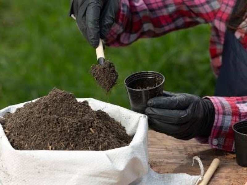 Afectados agricultores por incremento en el precio de fertilizantes orgánicos