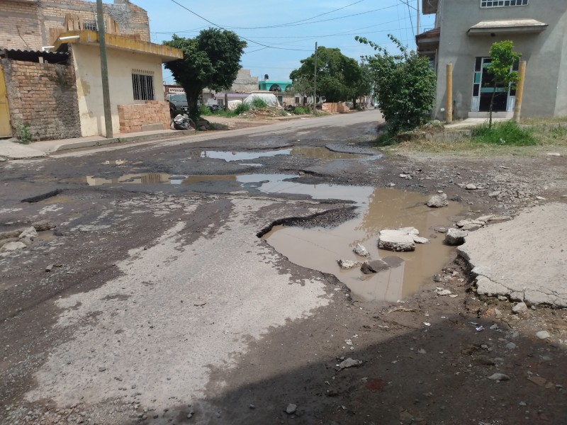 Afluencia vehicular ha destrozado la calle las palomas