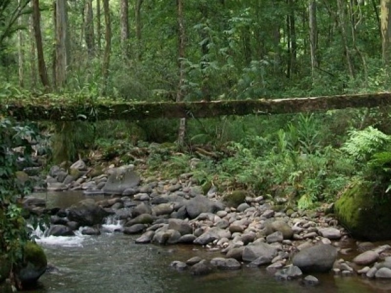 Afluentes de agua de Xalapa al 50% de su capacidad