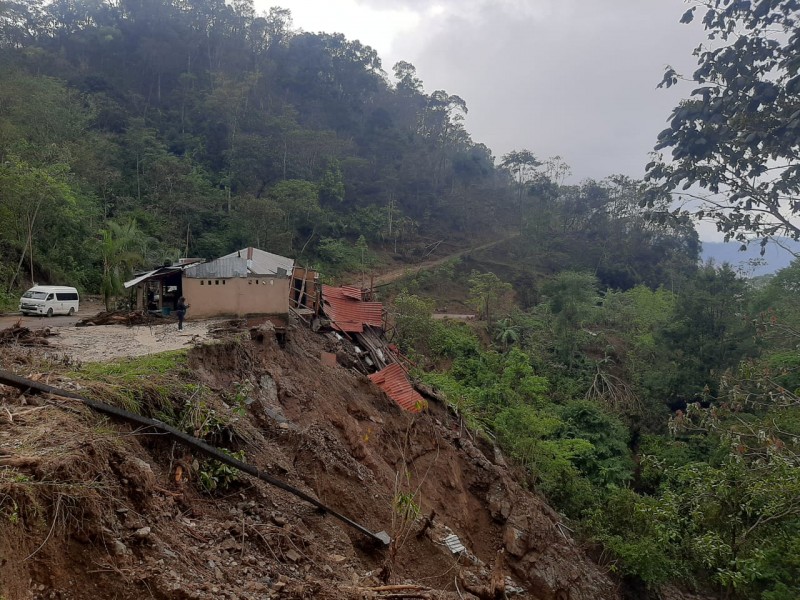 Ágatha deja pérdidas por 900 MDP en cosecha de café