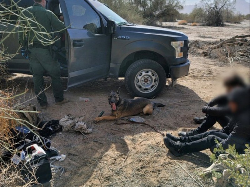 Agente canino rastrea y rescata a tres indocumentados en desierto.