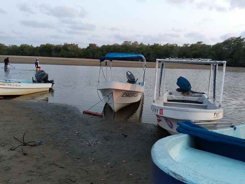 Agonizan económicamente enramaderos en Barra de Potosí