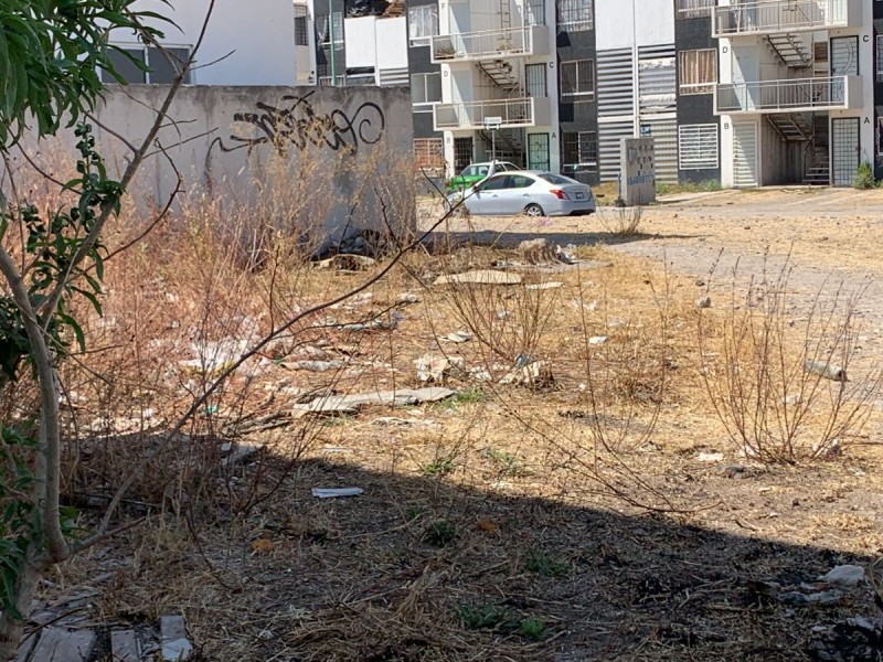 Agradecen la limpia de lotes baldíos en Brisas del Campestre.