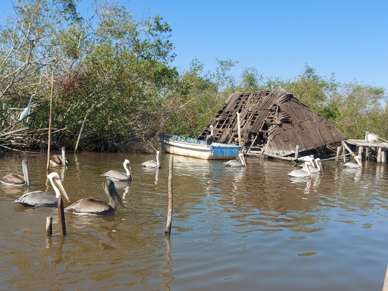 Agravada situación ambiental de Nayarit por la falta ordenamiento local