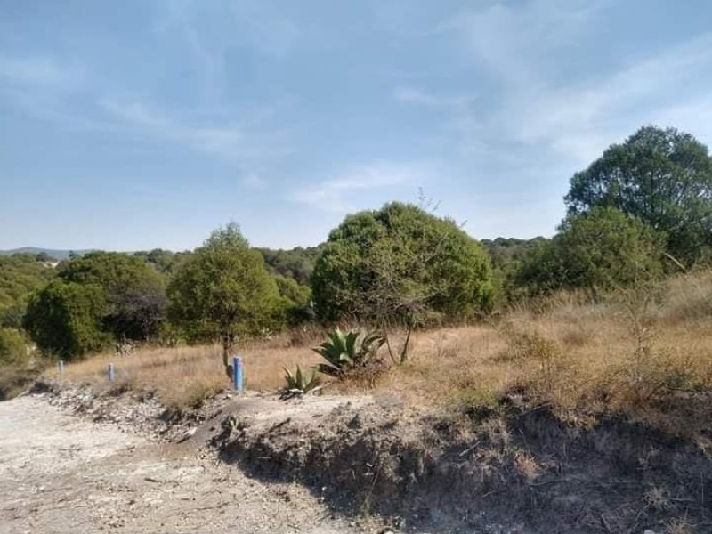 Agreden a pareja en terrenos de cultivo en Cuautinchan