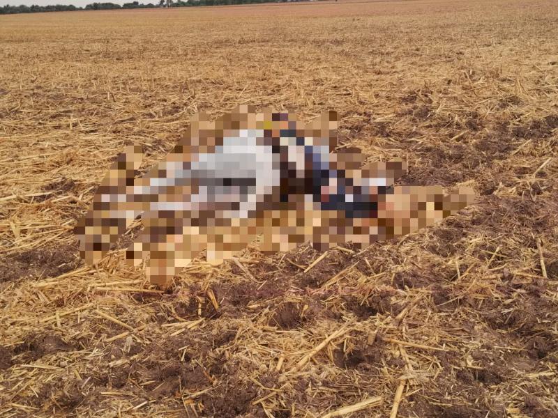 Agricultor fallece al ser alcanzado presuntamente por un rayo en Nío, Guasave