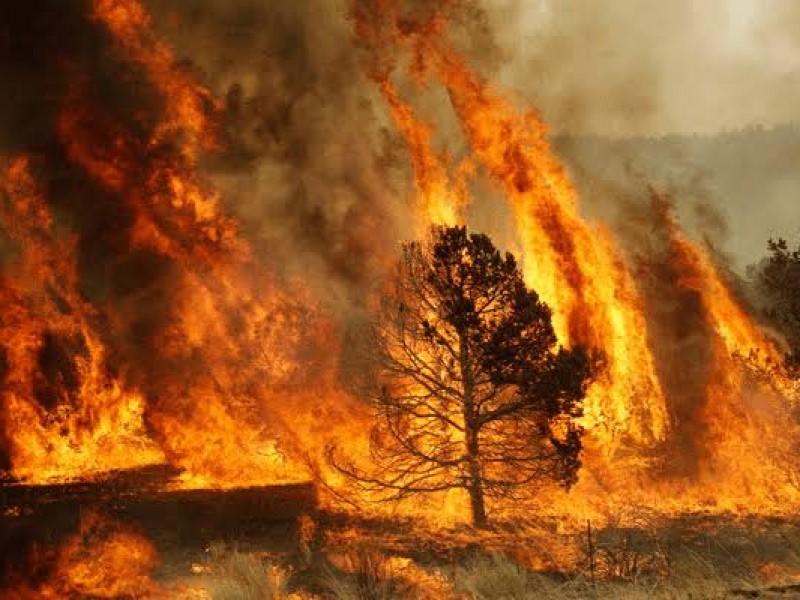 Agricultores cañeros omiten avisos sobre propagación de incendios forestales