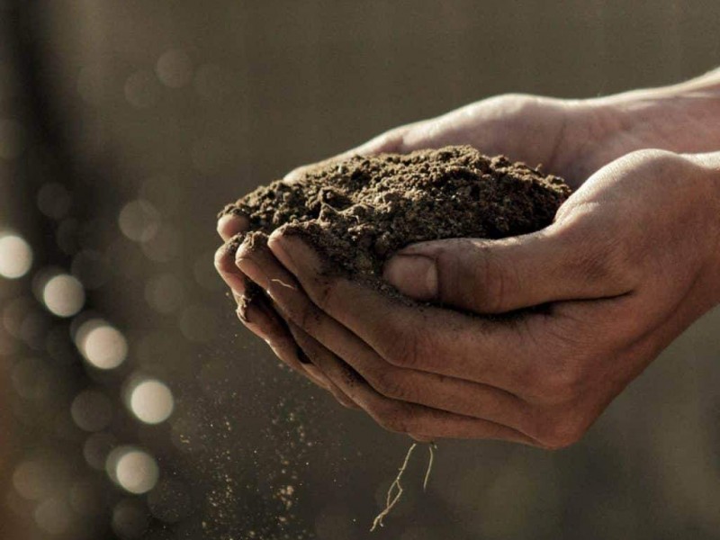 Agricultores contienen plagas con el uso de biofertilizantes