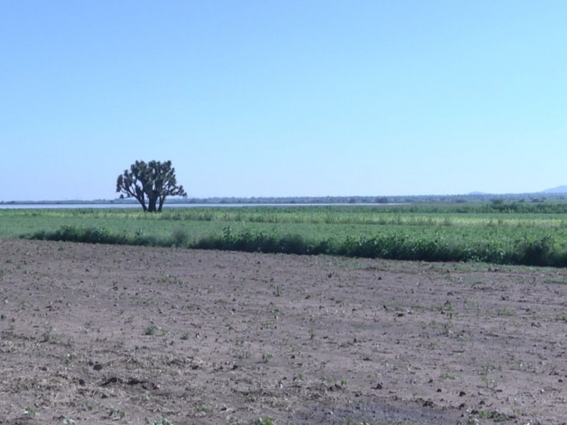 Agricultores dan a conocer sus inconformidades y necesidades