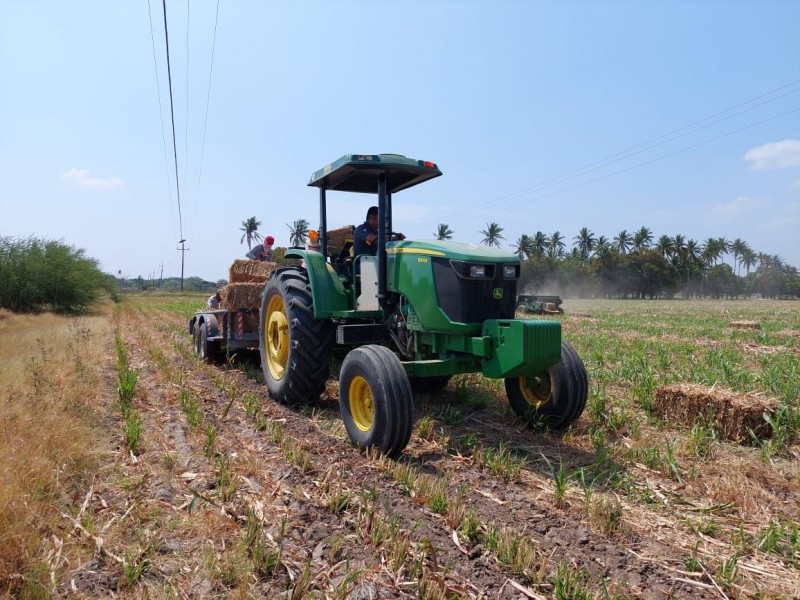 Agricultores de Mixtequilla solicitan financiamiento para el campo