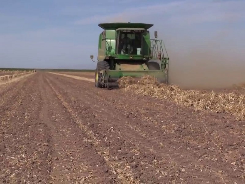 Agricultores en espera de apoyos económicos