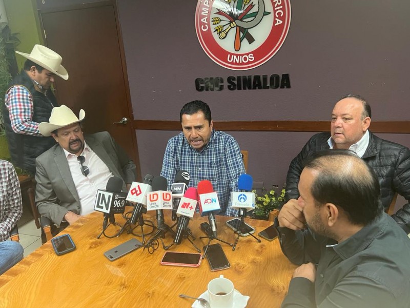 Agricultores en Guasave en riesgo de caer en bancarrota