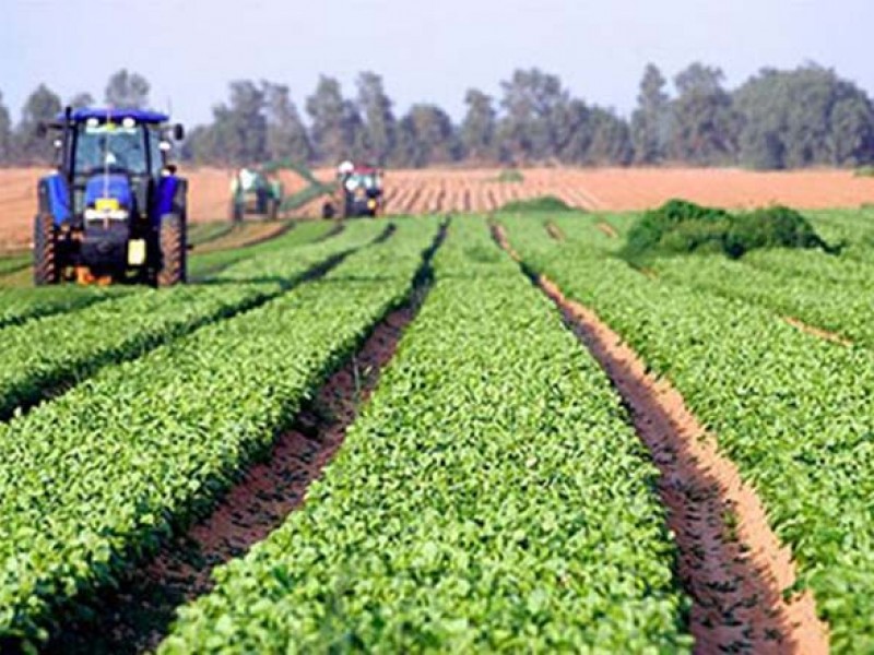 Agricultores nayaritas con difícultades para acceder a recursos