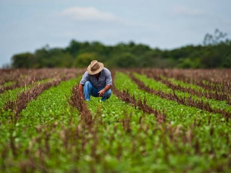 Agricultores podrán acceder al seguro para contingencias climatológicas