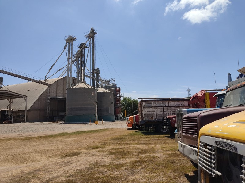 Agricultores prevén saturación de bodegas la próxima semana