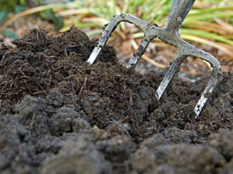 Agricultores reciben abono orgánico en Zamora