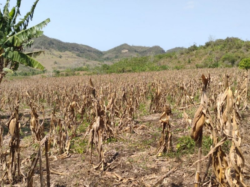 Agricultores requieren de sistemas de riego