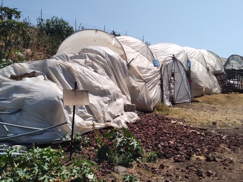Agricultores solicitan centro de acopio para desechar agroplásticos en Zamora 
