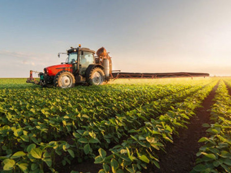 Agrícultores sonorenses suman pérdidas de 11 mmdp por contingencia