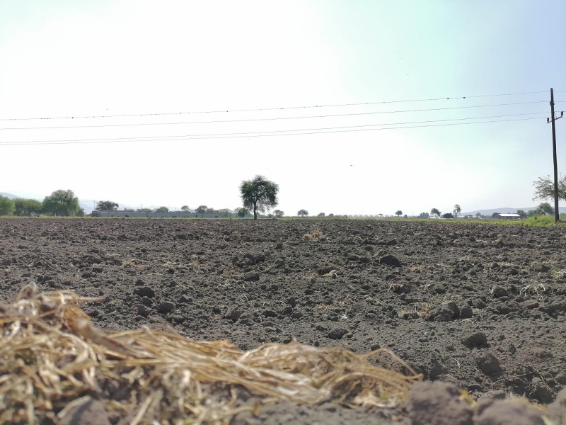 Agricultores también prevén 