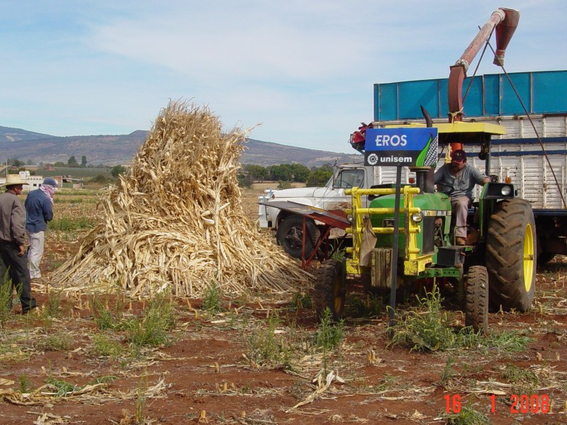 Agricultores y ejidatarios golpeados por alza en combustible