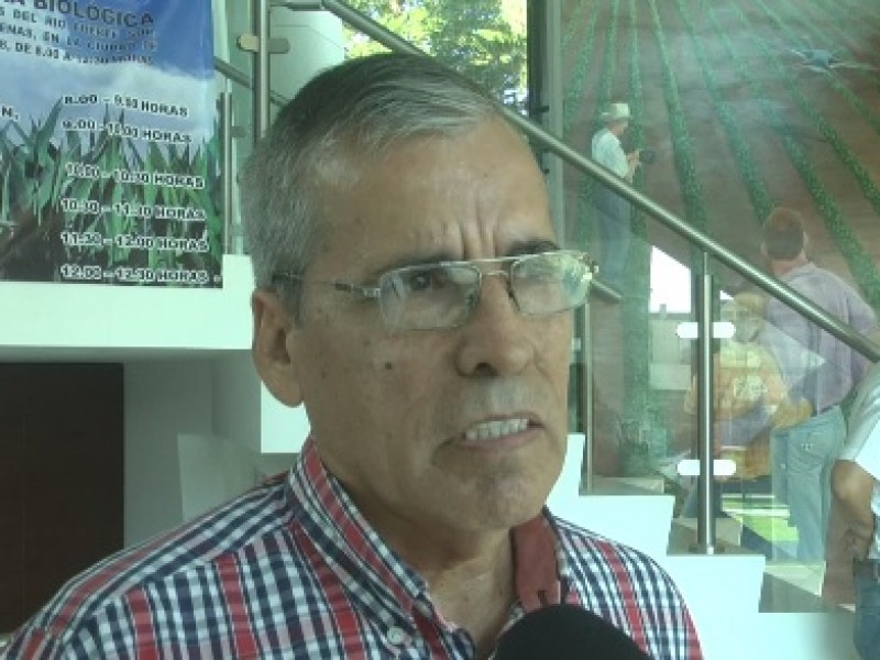 📹Agricultura biológica,  menos costo y mayores rendimientos:Especialista