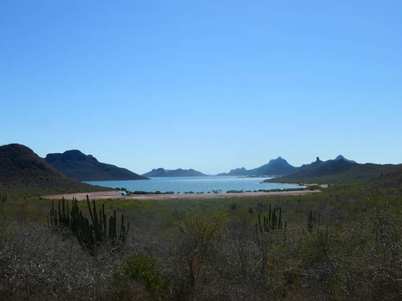 Agricultura y acuacultura amenazan ecosistema de Navachiste