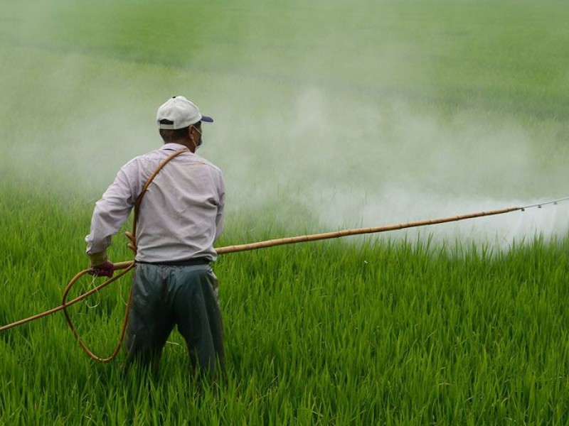 Agroquímicos ligados a enfermedades degenerativas