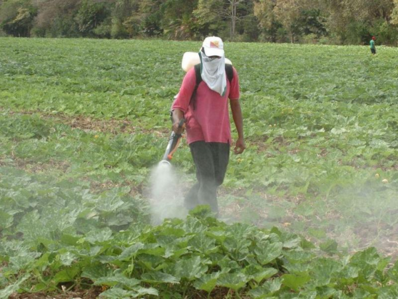 Agroquímicos principales contaminantes del agua en región Ciénega
