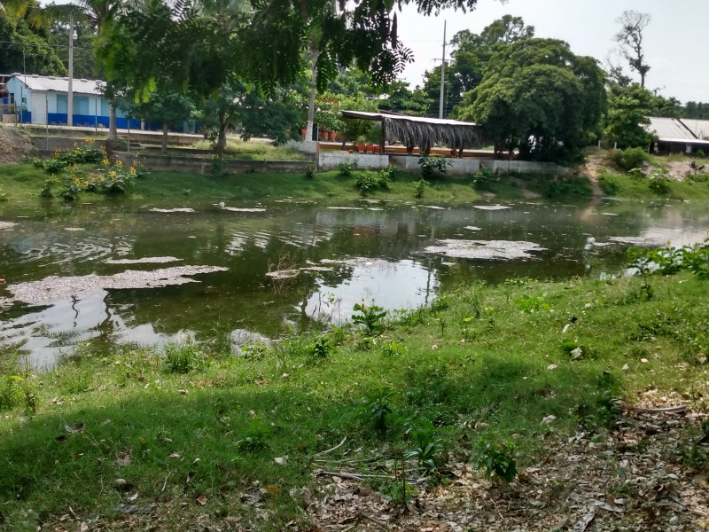 Agua de canal de Mixtequilla, sí está circulando