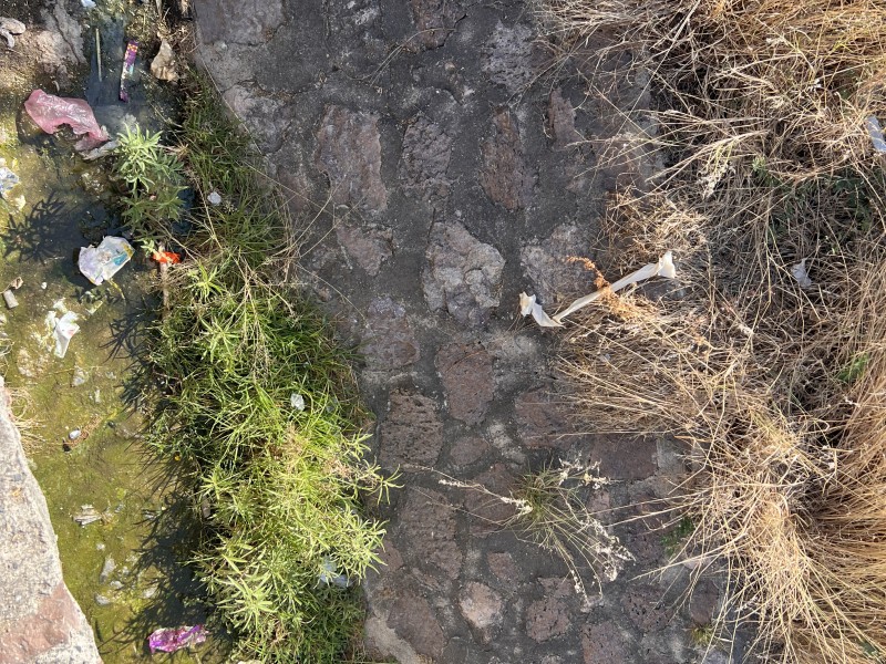 Agua estancada provoca fétidos olores