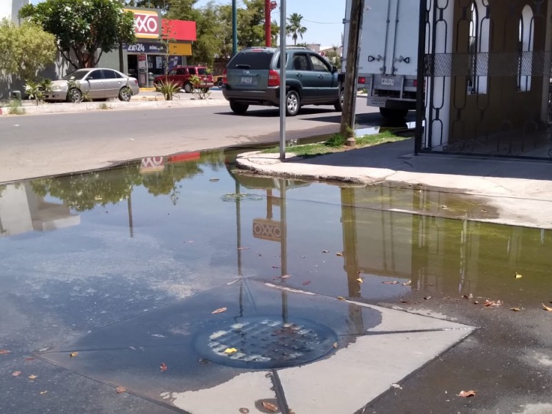 Agua negras, un problema sin solución que vive el poniente