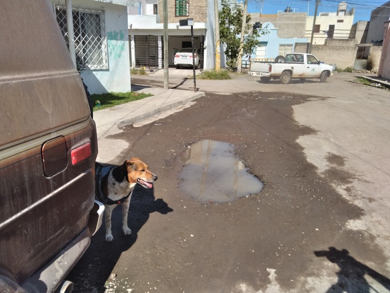 Agua potable se derrama sobre la calle Estación