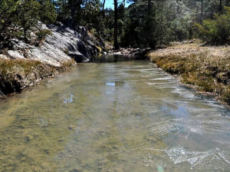 Agua Saludable, completa un ciclo de explotación desmedida del agua