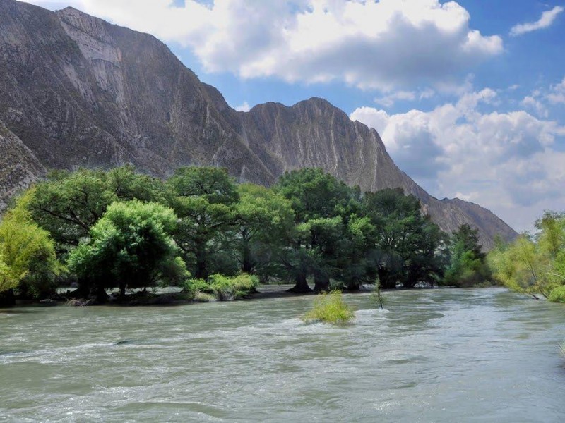 Agua Saludable no resolverá la problemática de agua potable